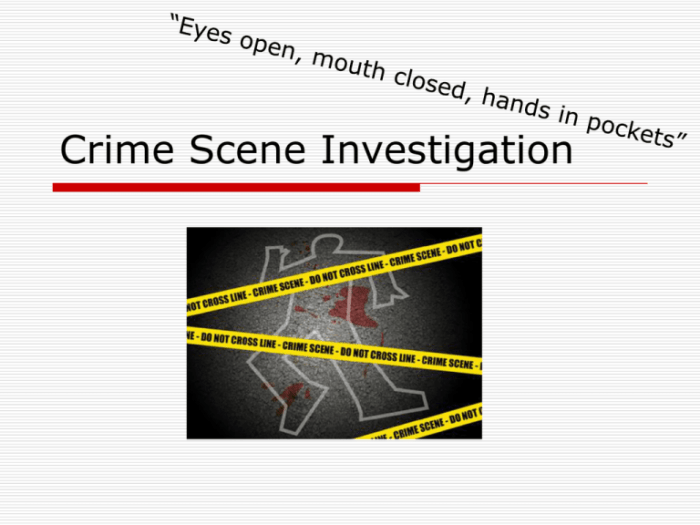 The 7s of crime scene investigation