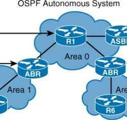 Ospf neighbor is up but no routes