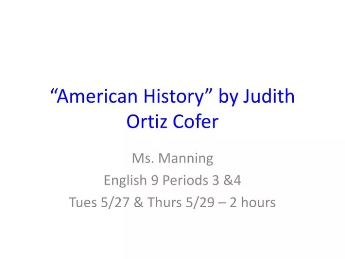 American history by judith ortiz cofer theme