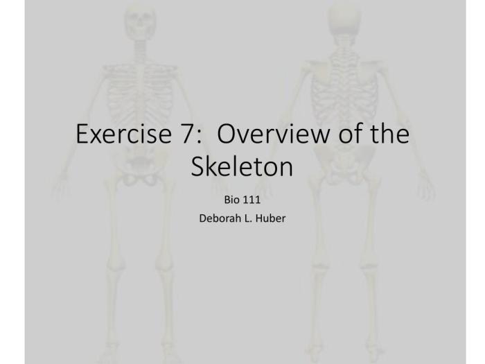 Overview of the skeleton exercise 7