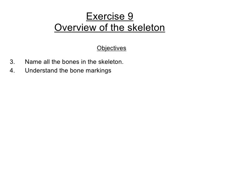 Overview of the skeleton exercise 7