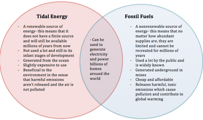 Renewable and nonrenewable venn diagram