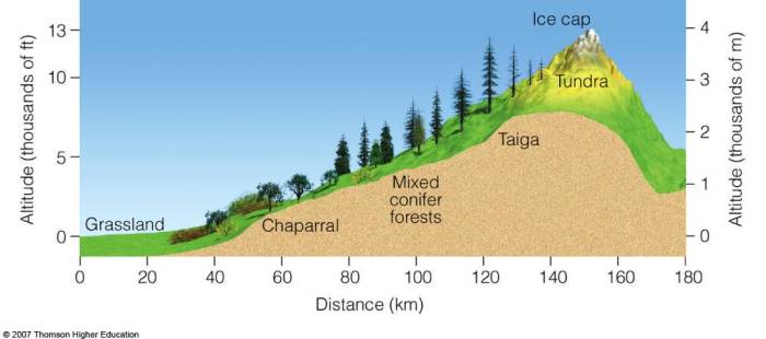 How does vertical zonation affect agriculture