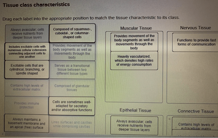 Connectivity corresponding characteristic match ccna1 v7 communications infraexam